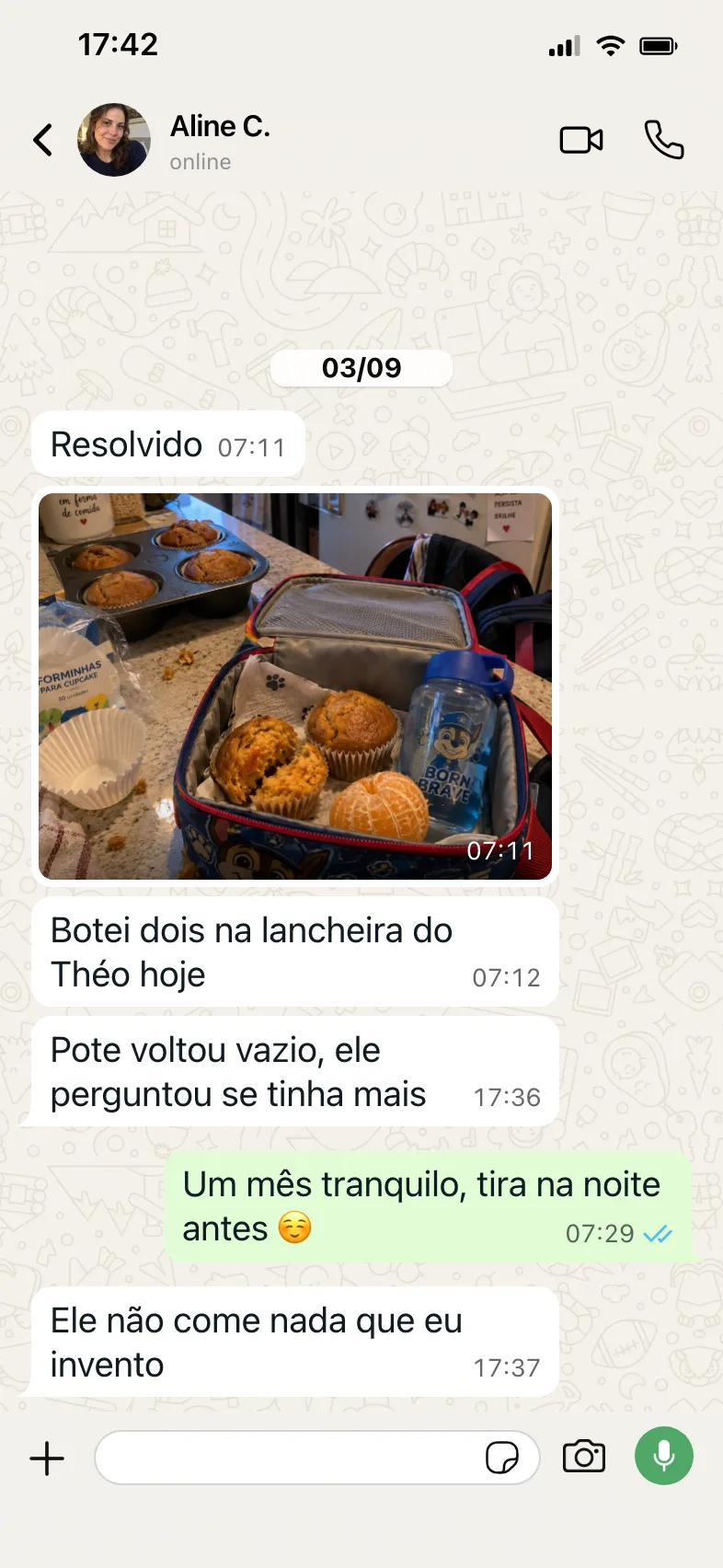 Conversa de WhatsApp com Aline C., de Joinville, SC